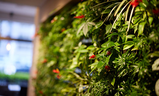 ルームフレグランス