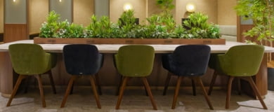 フォトギャラリー